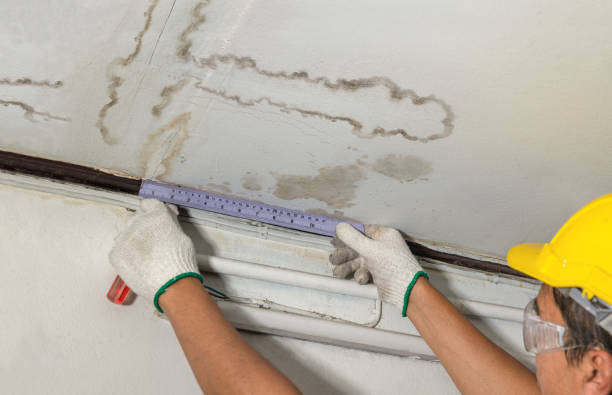 Reliable Flood Cleanup contractor in Springfield, NE by Water Damage Irwin